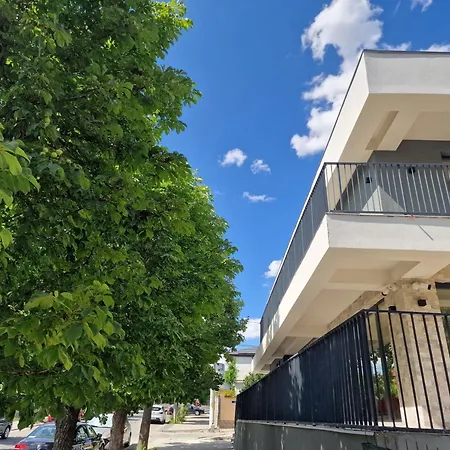 Πανσιόν Rosiem Boutique Techirghiol