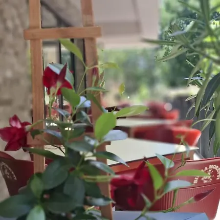 Πανσιόν Rosiem Boutique